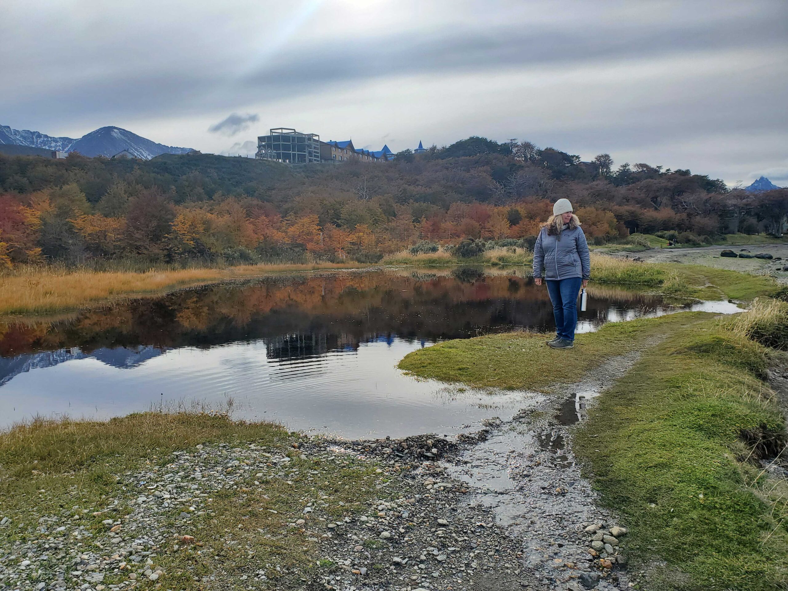 Tidal channels on the Beagle Channel shore featuring Ande. ( ;