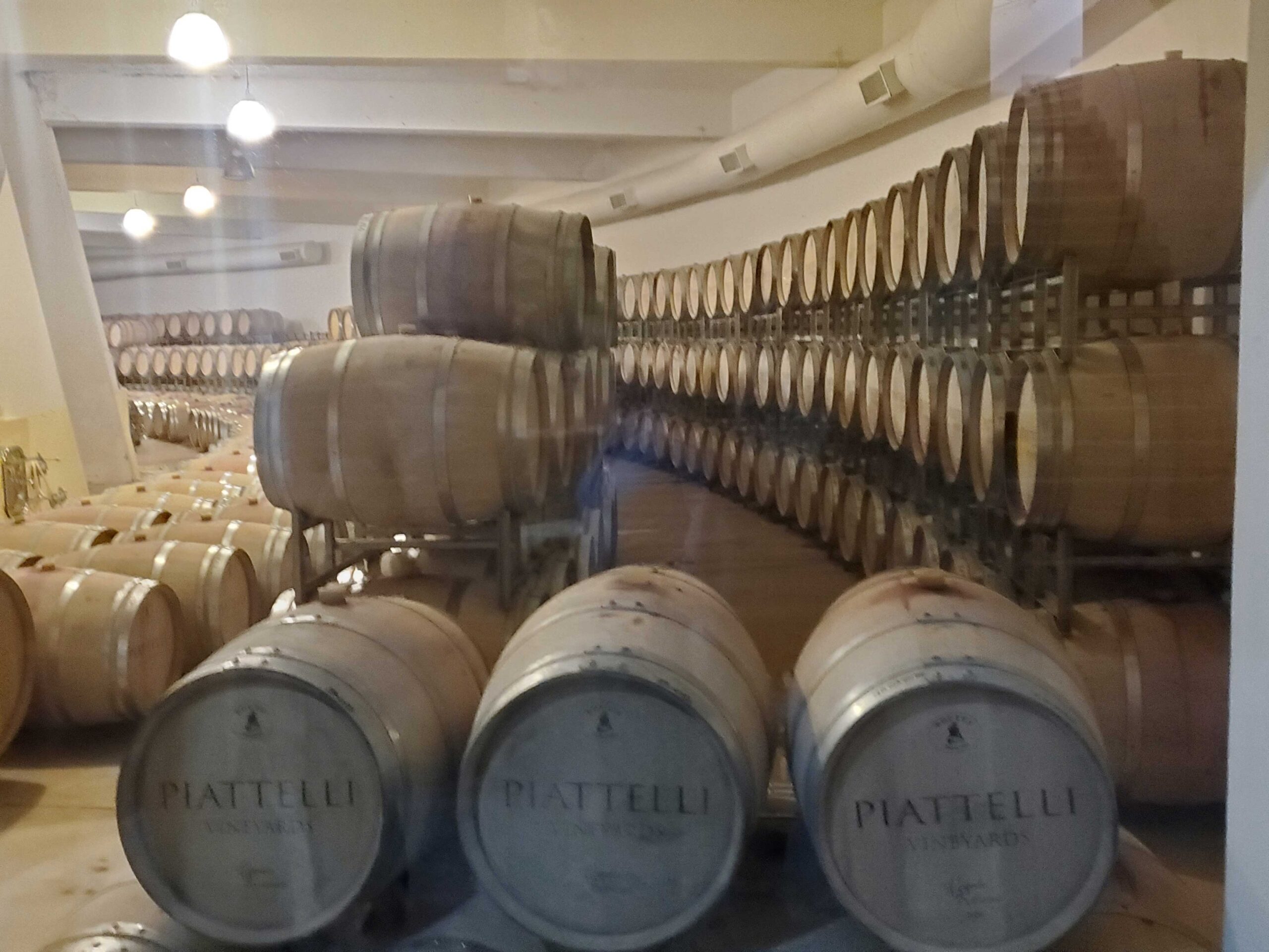 Aging room at Piattelli Bodega