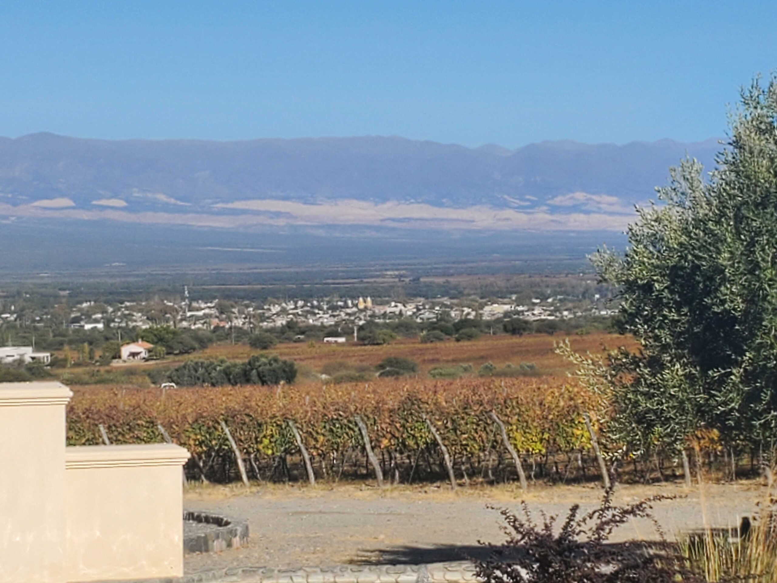 Town of Cafayate as seen from Piattelli Bodega