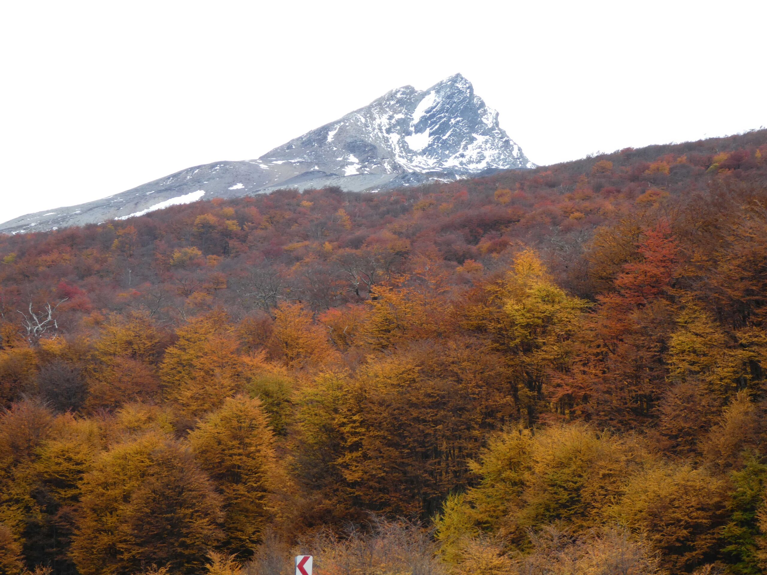 Fall color along RN 3 in Ushuaia.