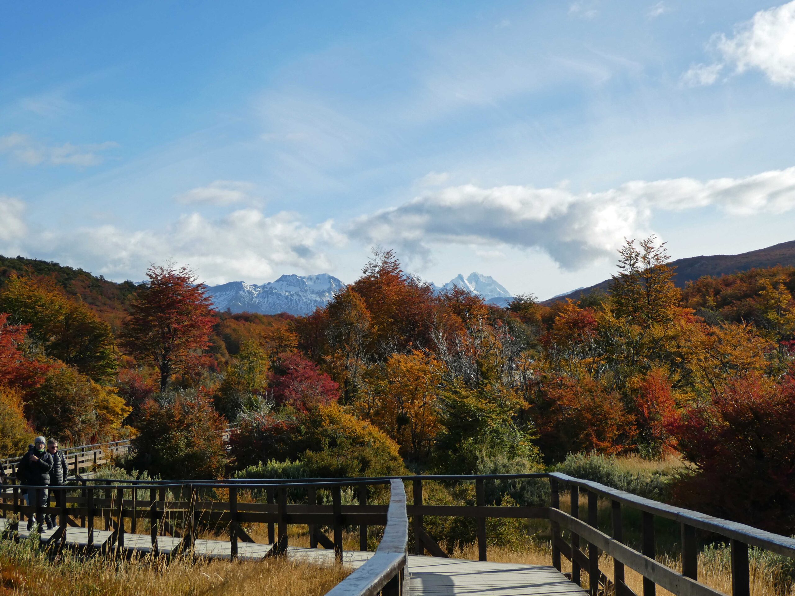 Boardwalk on the trail at the end of the road in Tierra del Fuego National Park.