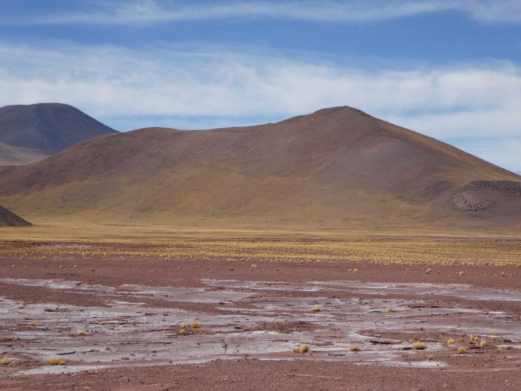 Landscape in the Los Flamingos National Reserve