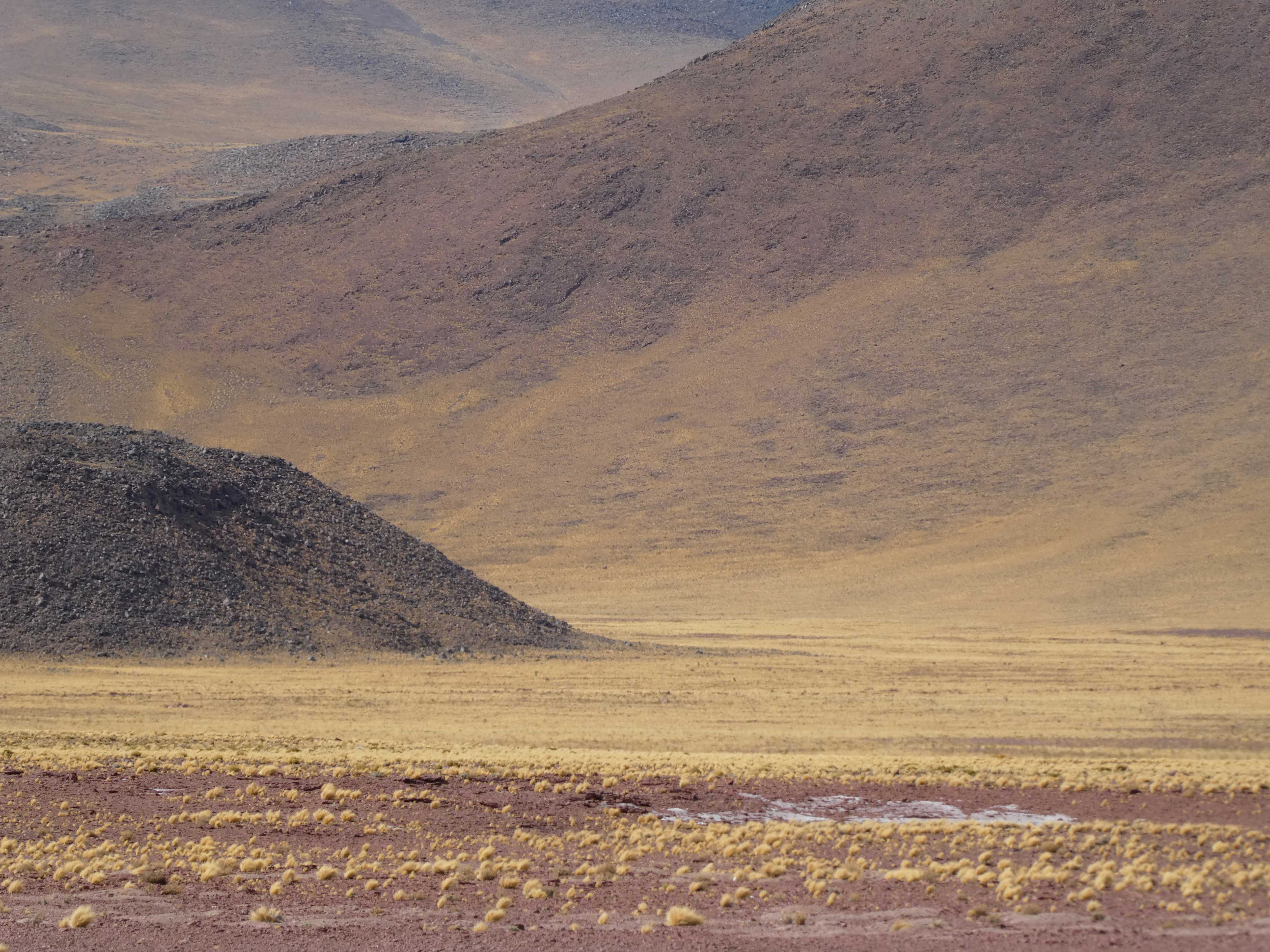 Landscape in the Los Flamingos National Reserve