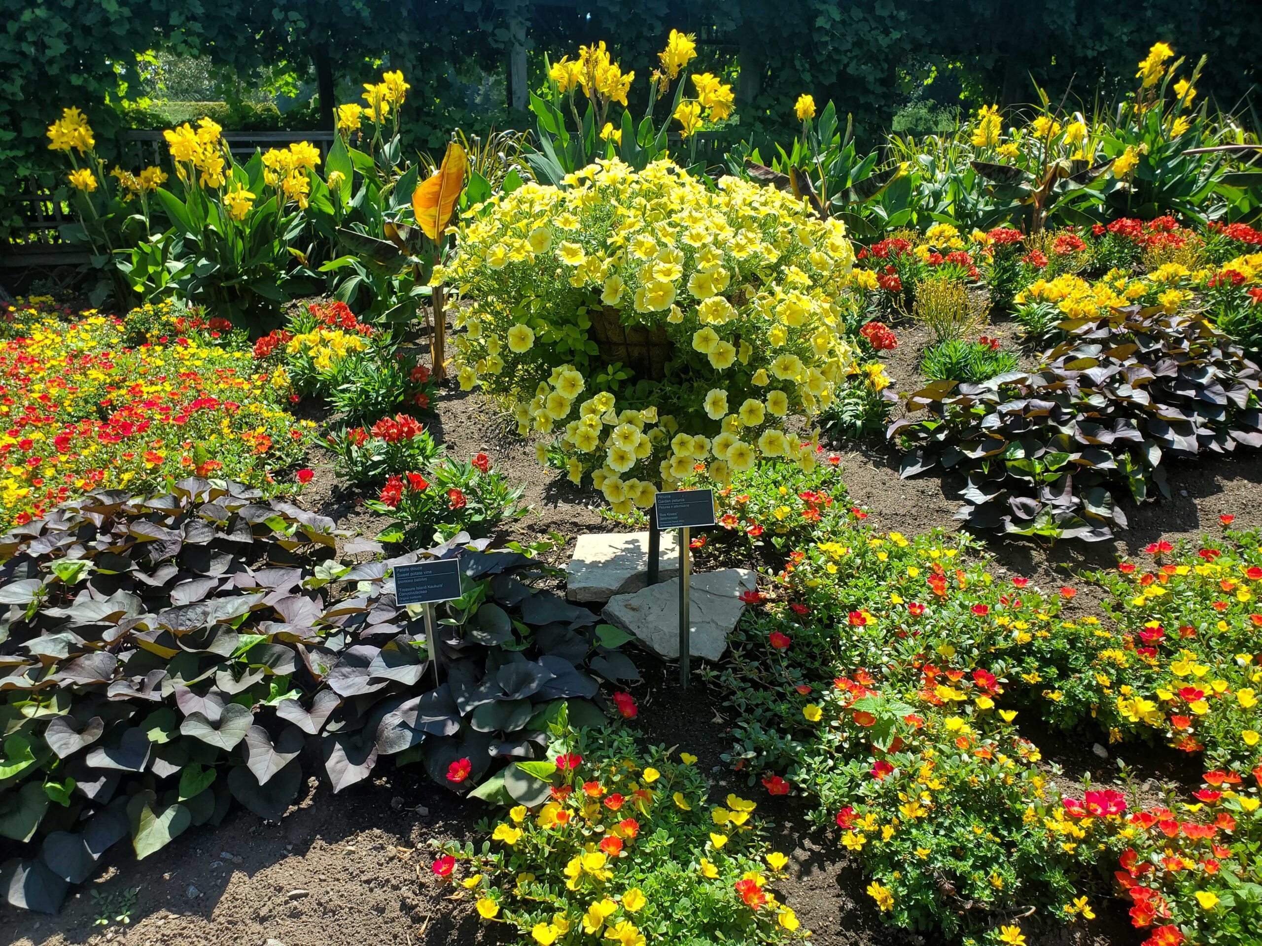 Annual display gardens at the Montreal Botanical Garden
