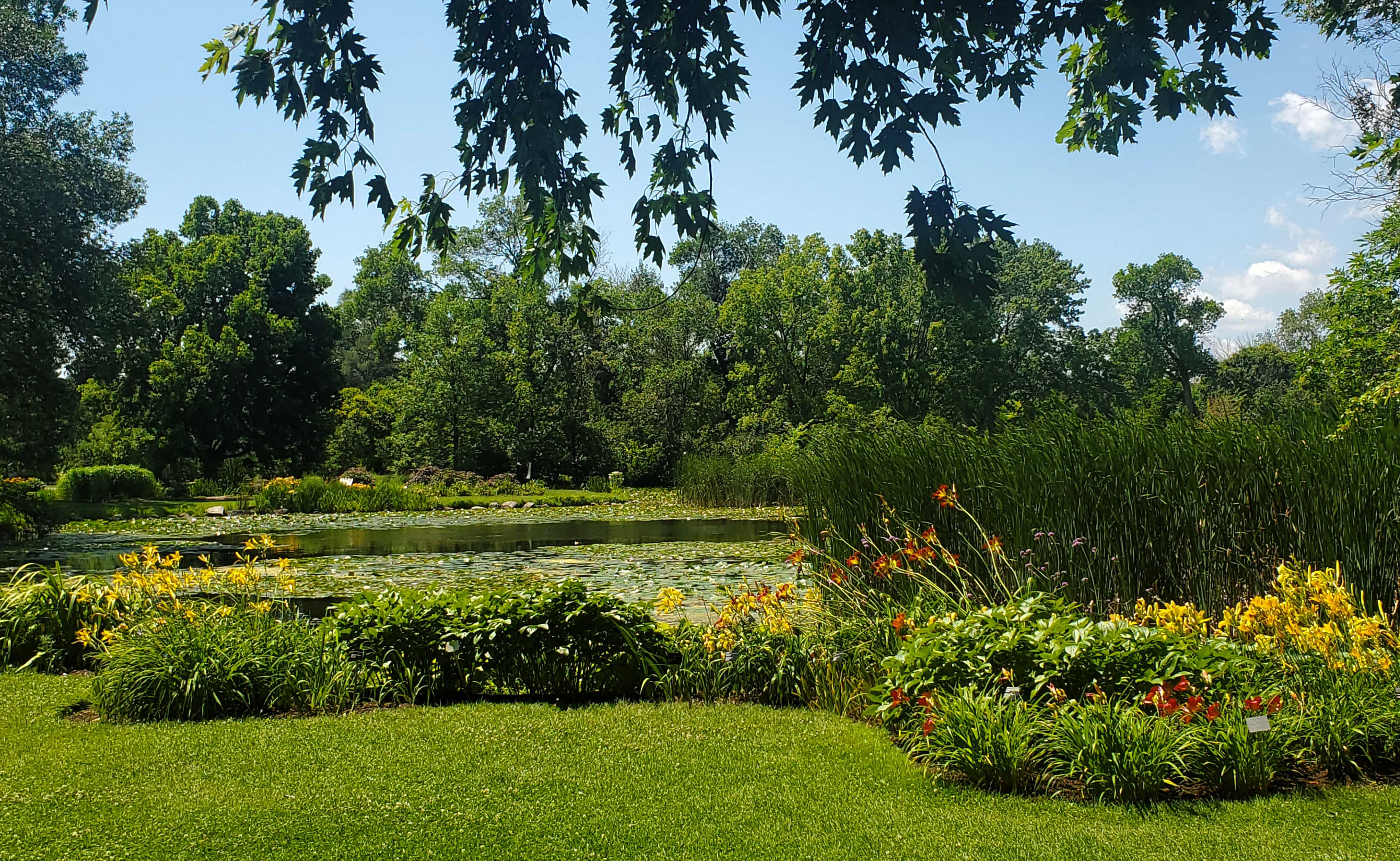 Ponds at the Montreal Botanical Gardens