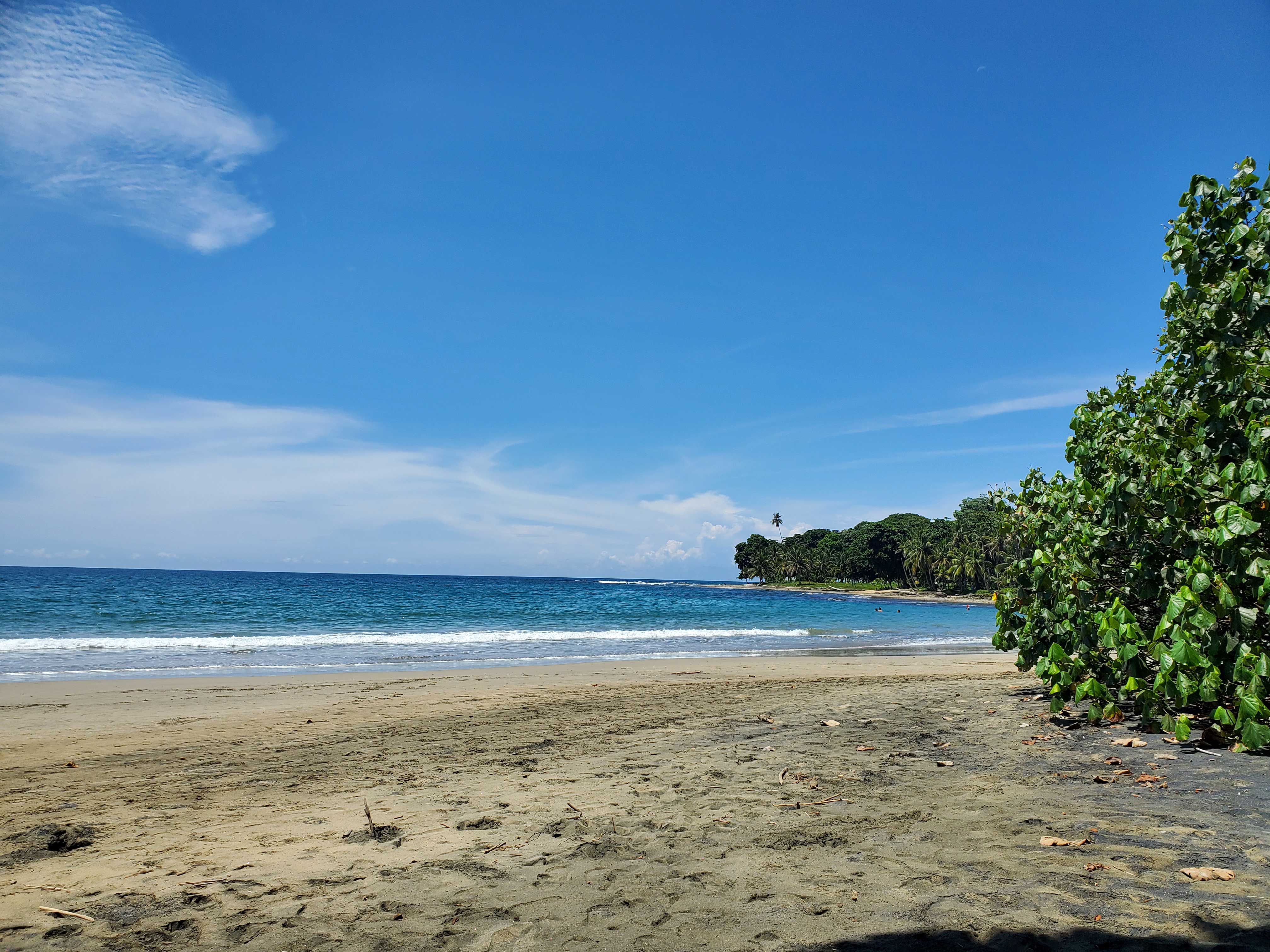 Cocles beach on the Caribbean coast of Costa Rica