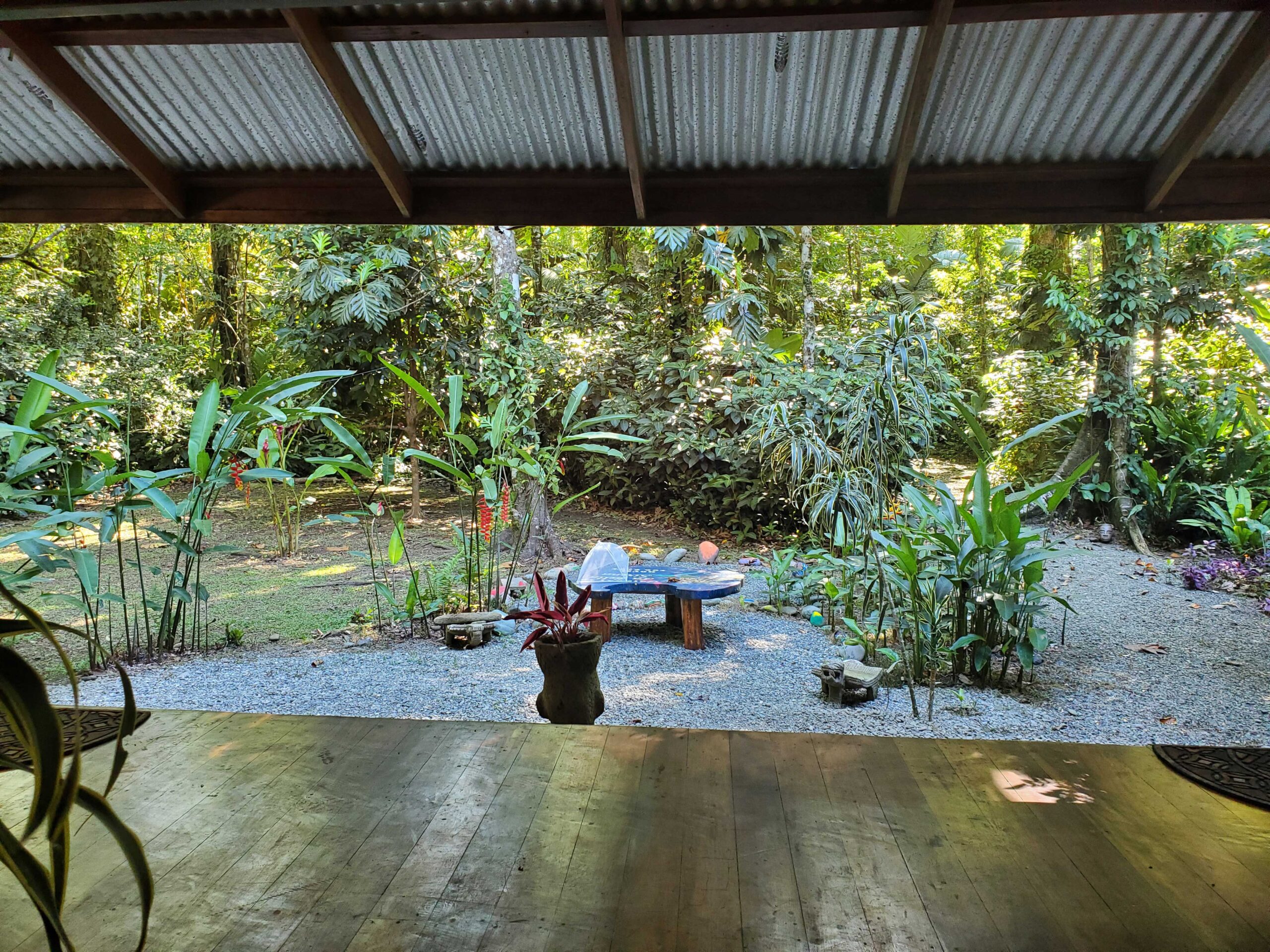 Front yard of our house in Congo Bongo