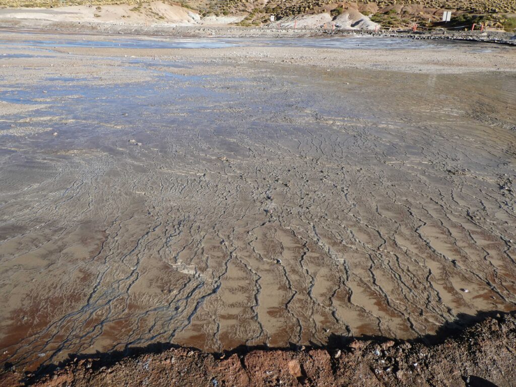 Scale-like textures in the thermal pools at El Tatio