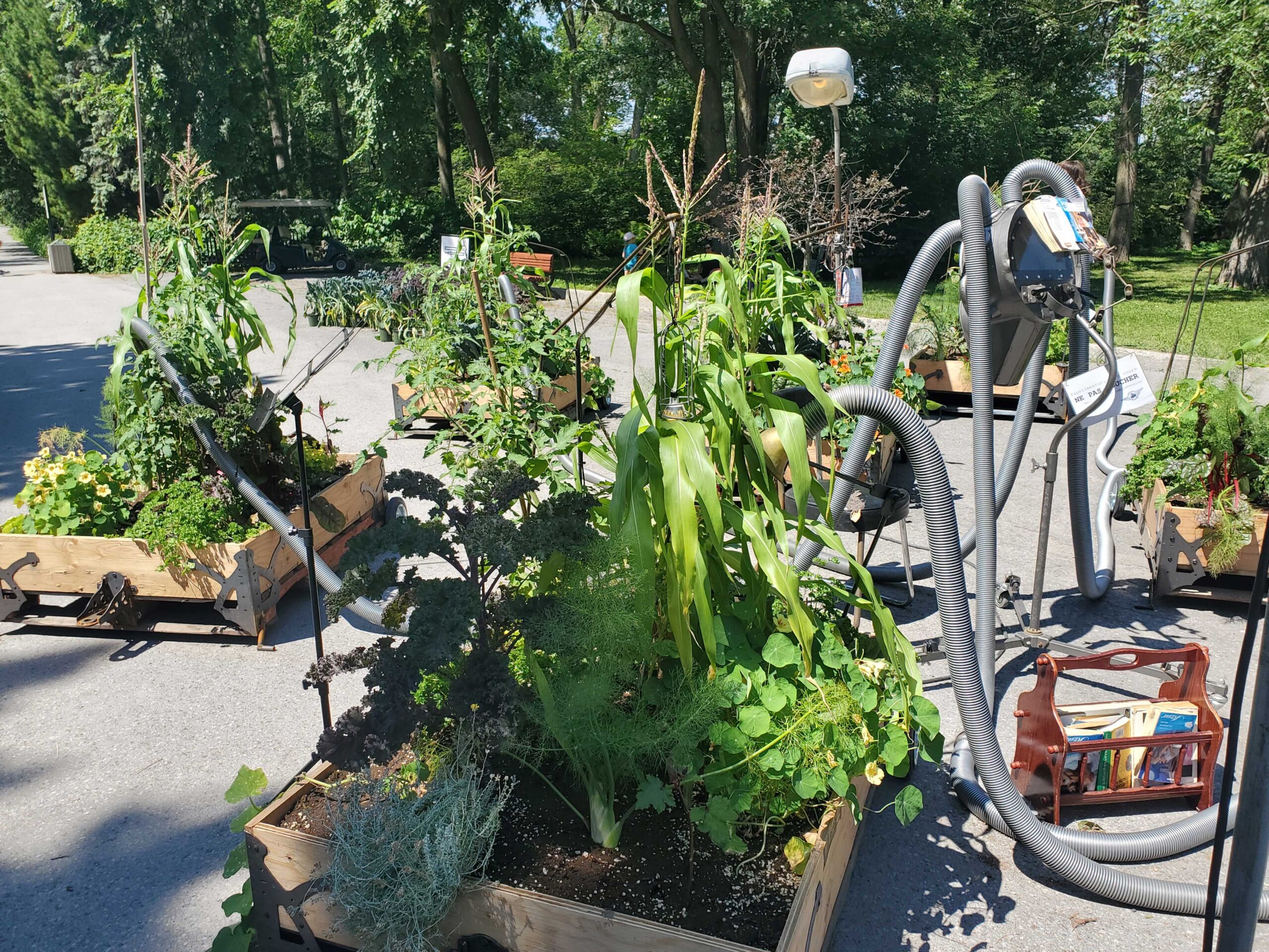 Machine that reads books to plants to encourage growth