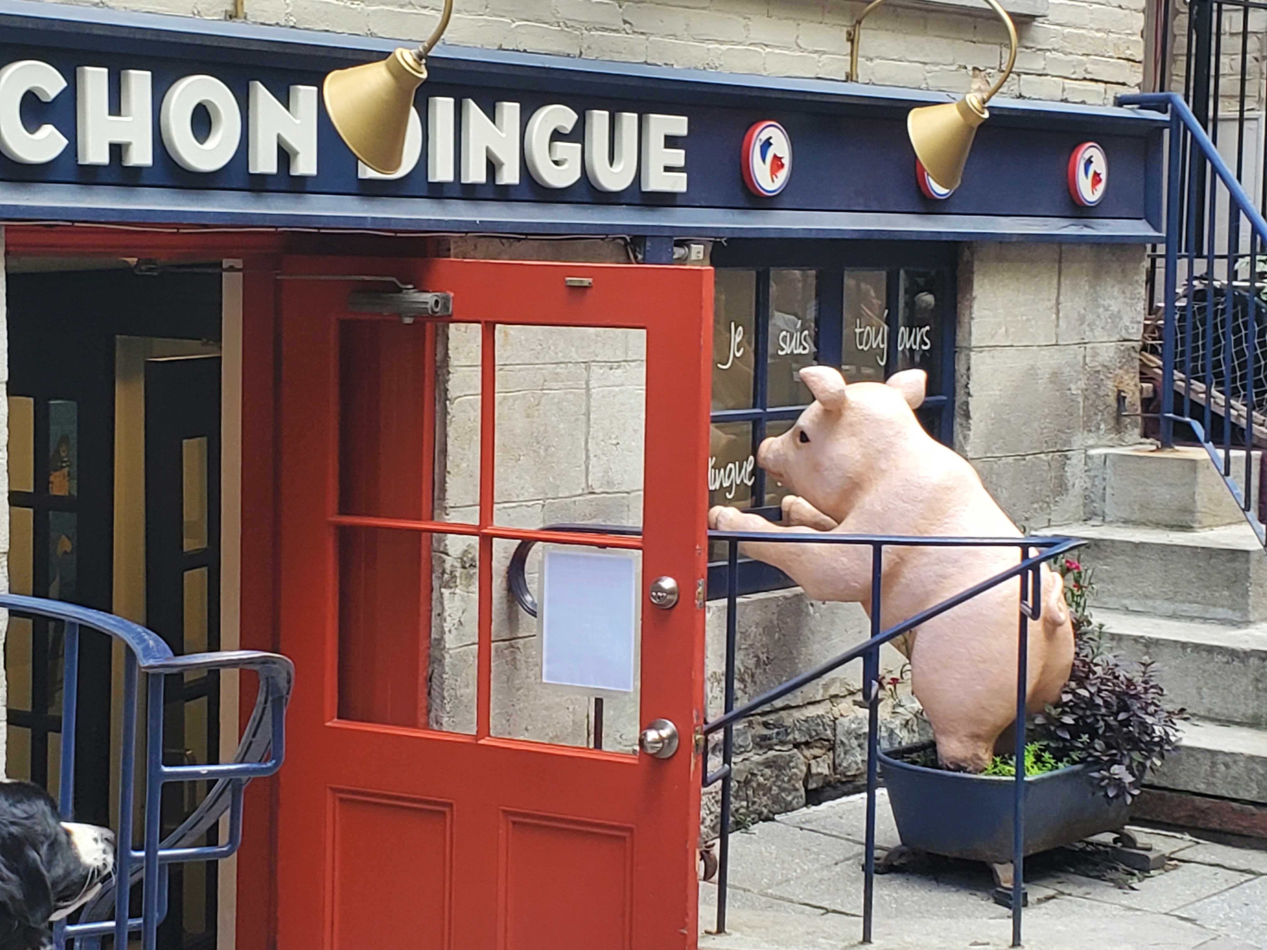 Le Cochon Dingue in Petit Champlain