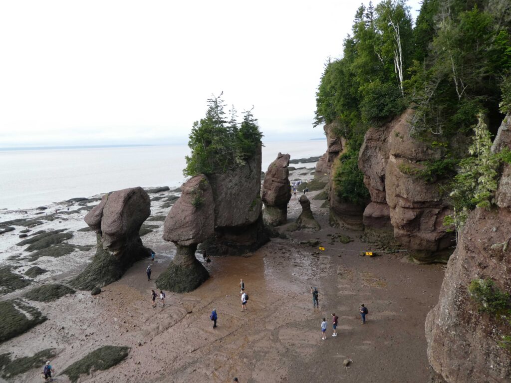 View of Hopewell Rocks at low tide from the entrance staircase