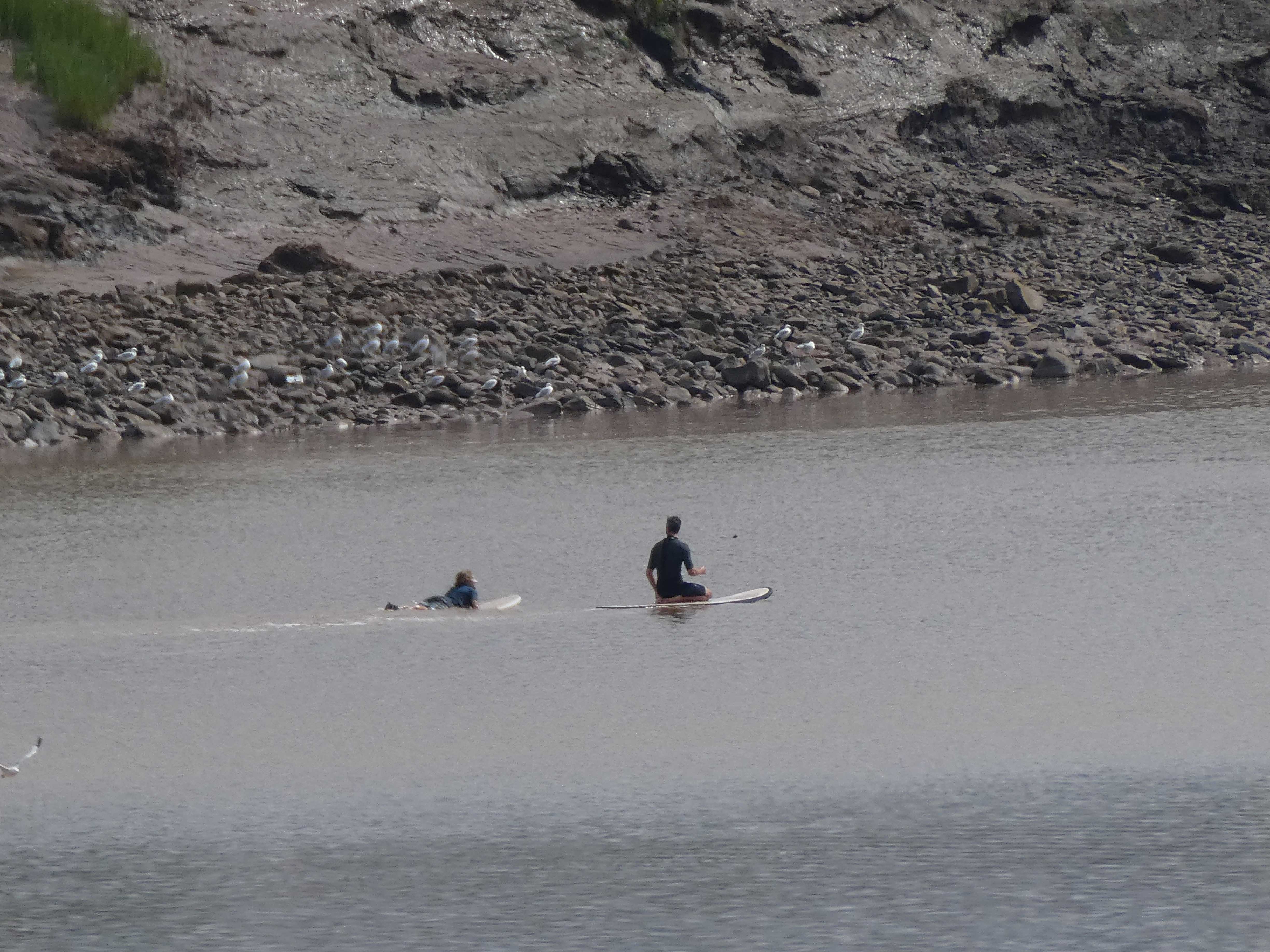 Surfers waiting for the tidal bore on the Petitcodiac River in Moncton, New Brunswick