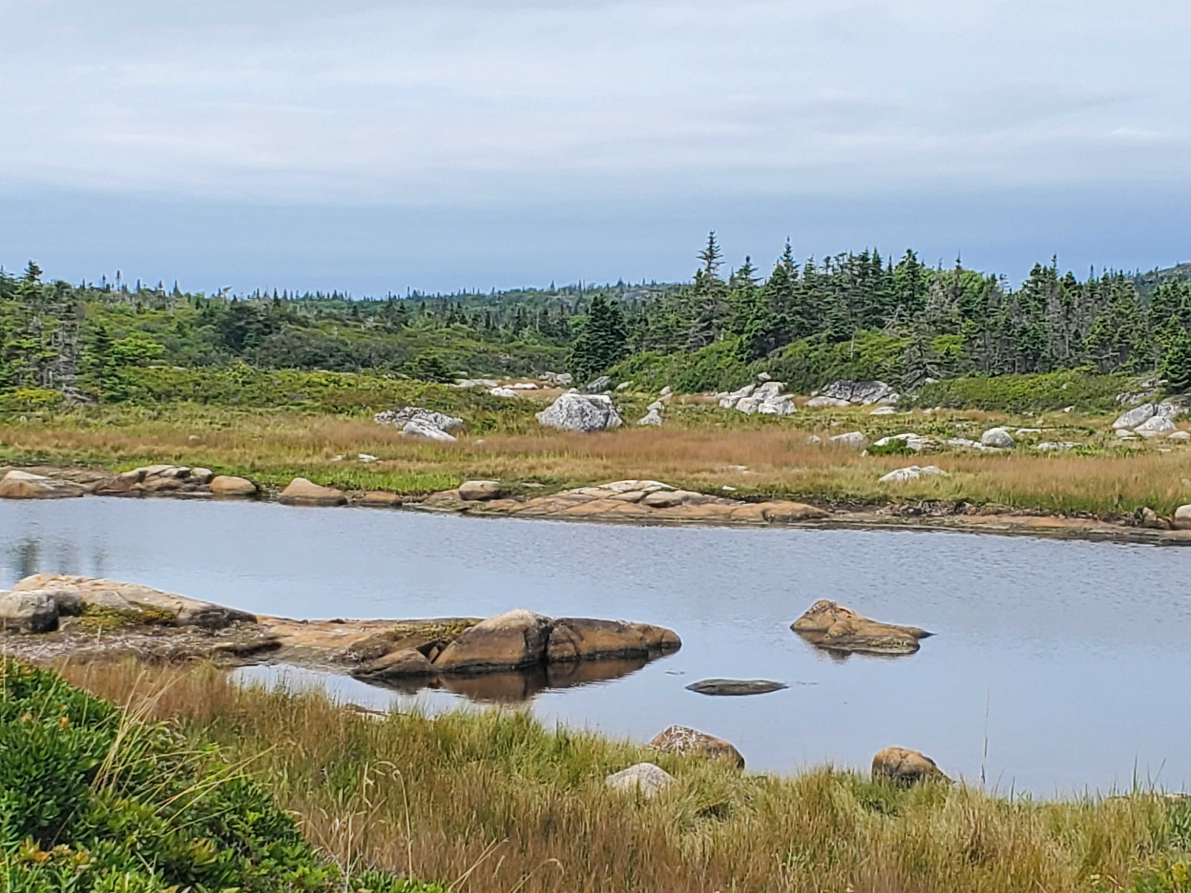 Polly Cove Wetland, Nova Scotia, Canada