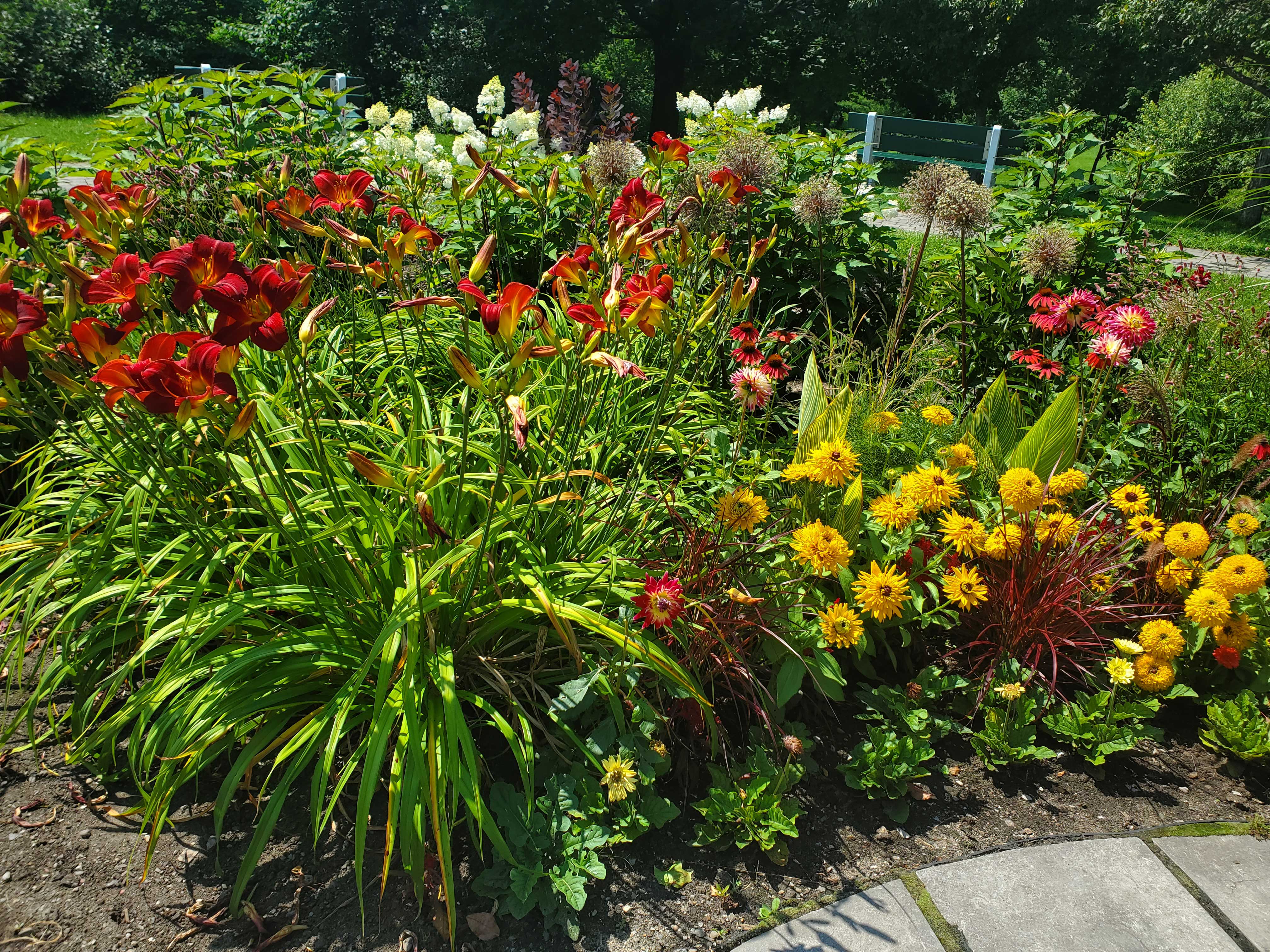 Floral display in the Plains of Abraham
