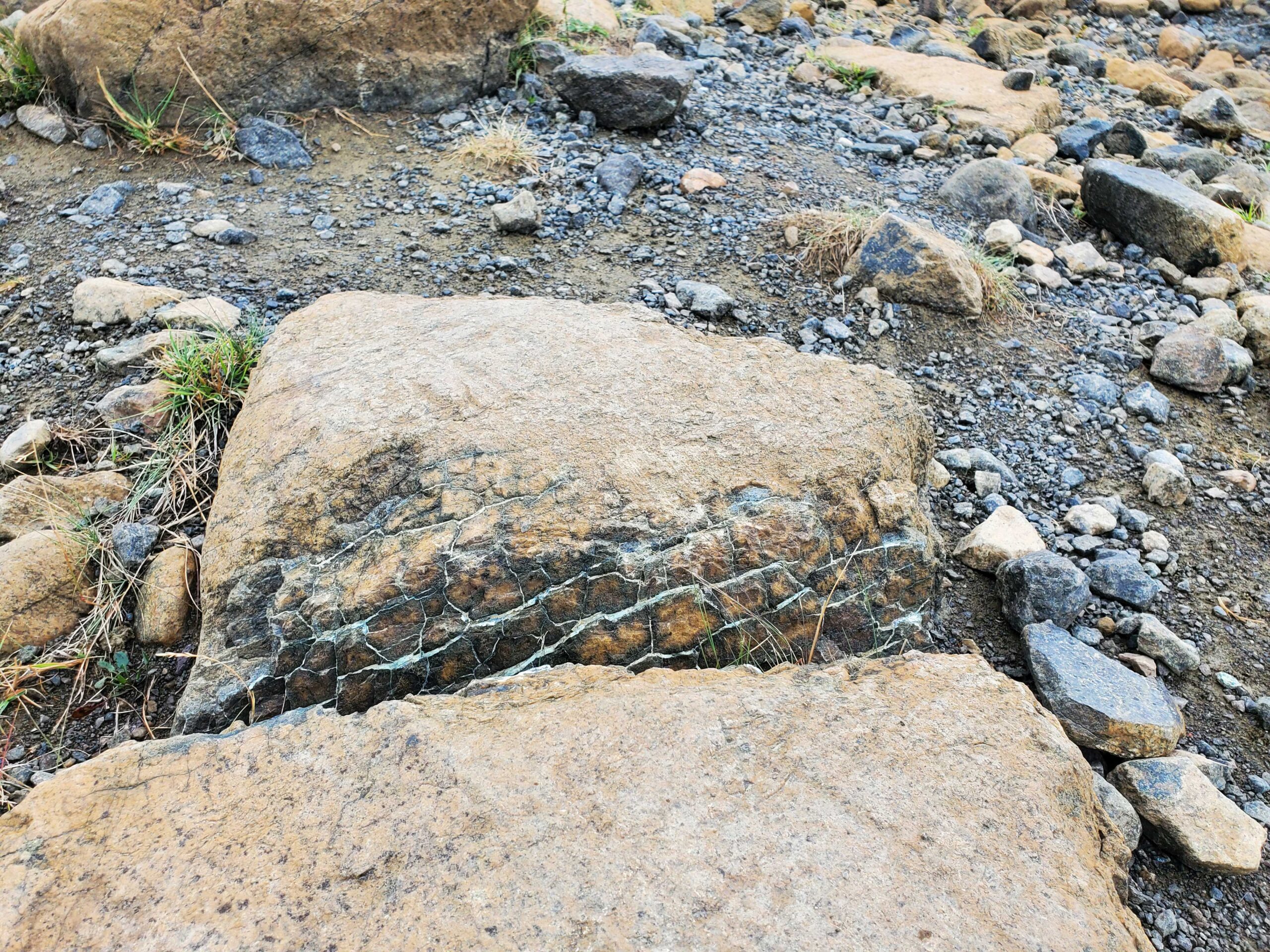 Serpentine rock in the Tablelands, Gros Morne National Park, Newfoundland
