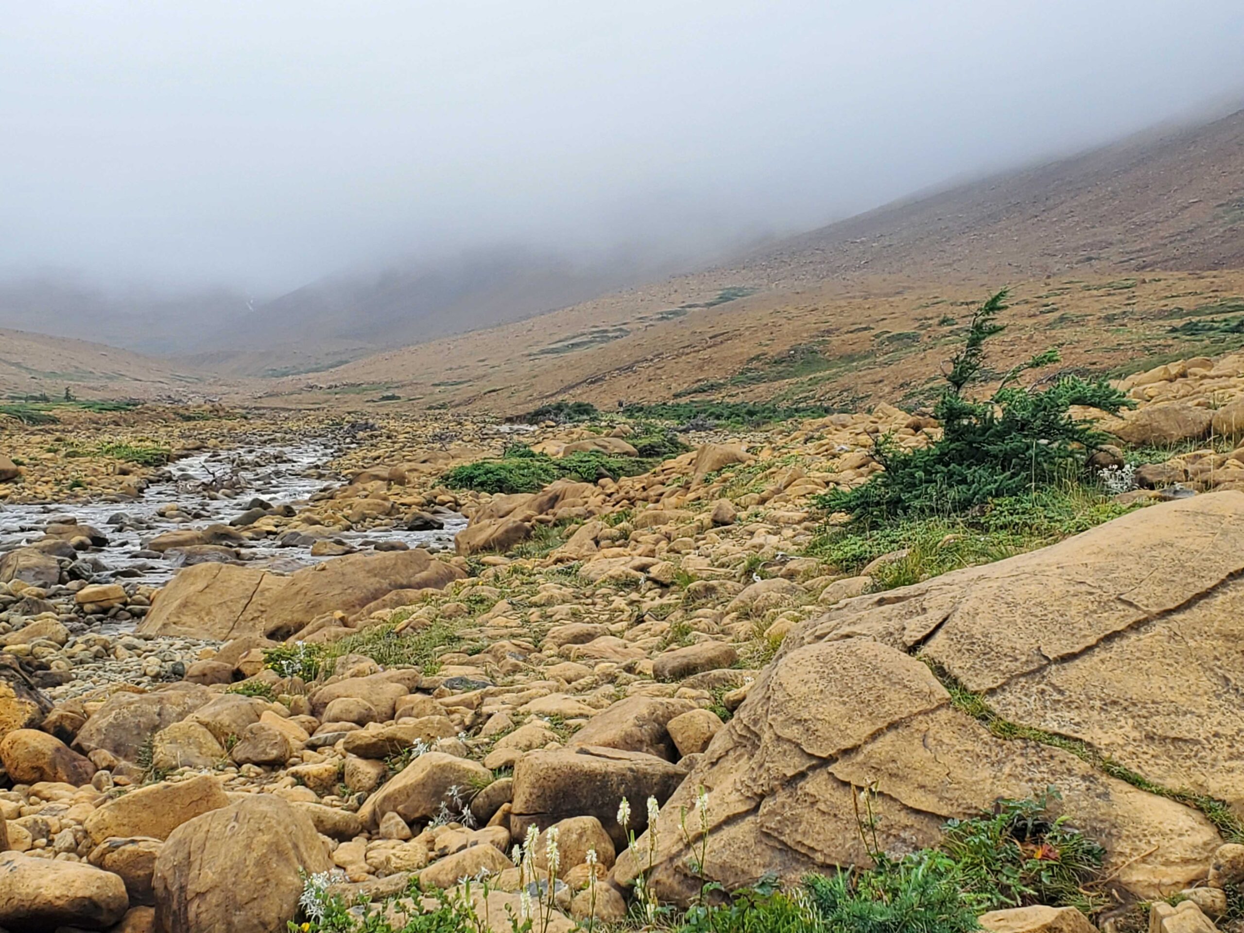 The Tablelands in Gros Morne National Park, Newfoundland