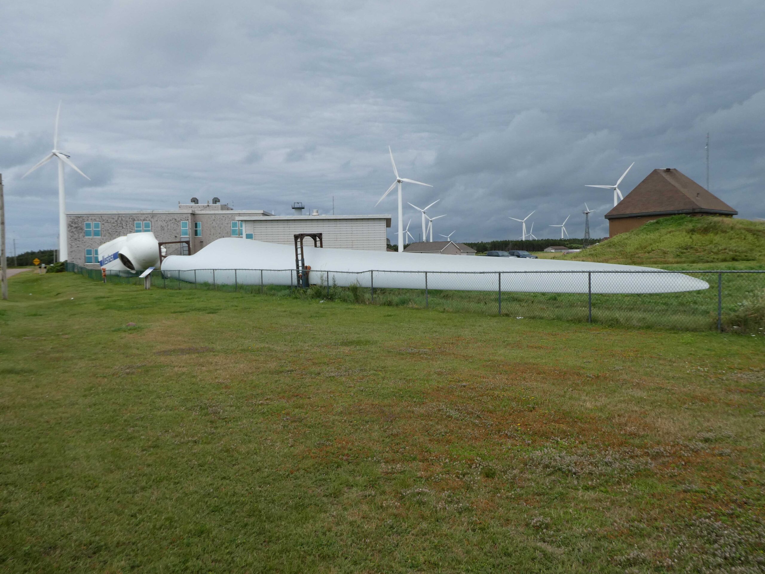 Tiny Ande standing next to a blade from a wind power turbine blade