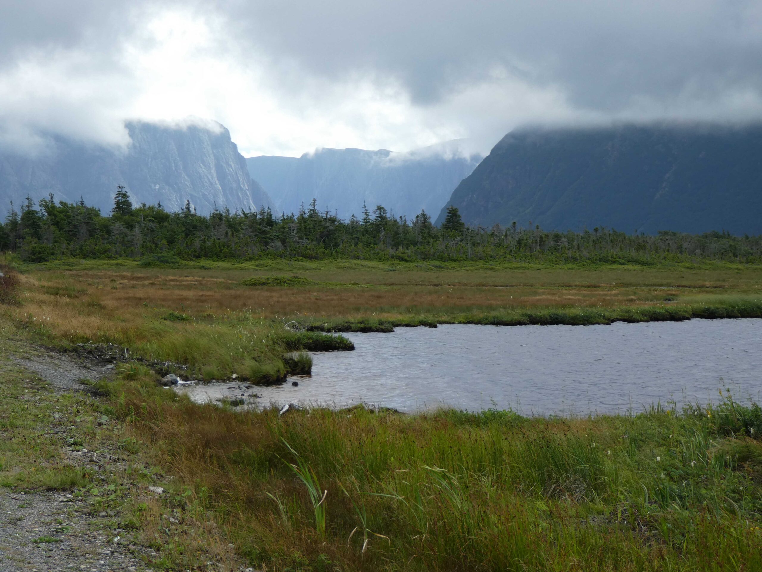 Wetlands leading to the boat dock on Western Brook Pond, Newfoundland