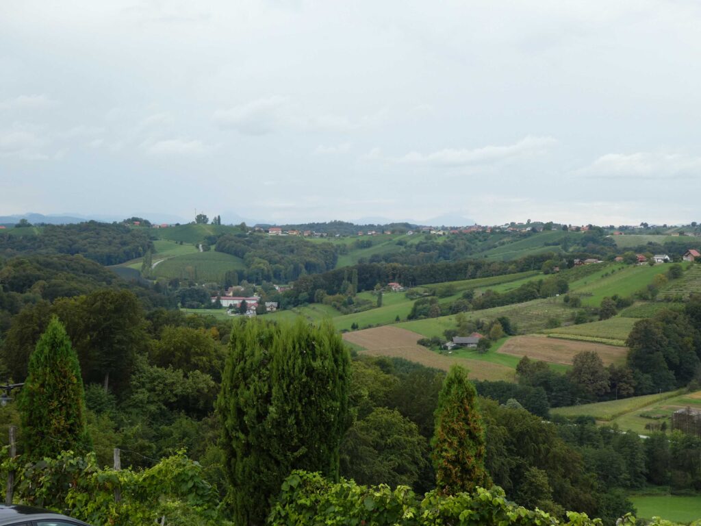 Scenery along the wine route near Jerusalem, Slovenia