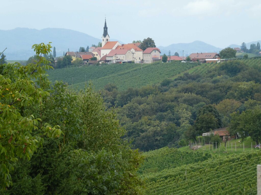 Scenery along the wine route near Jerusalem, Slovenia