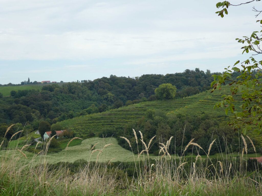 Scenery along the wine route near Jerusalem, Slovenia