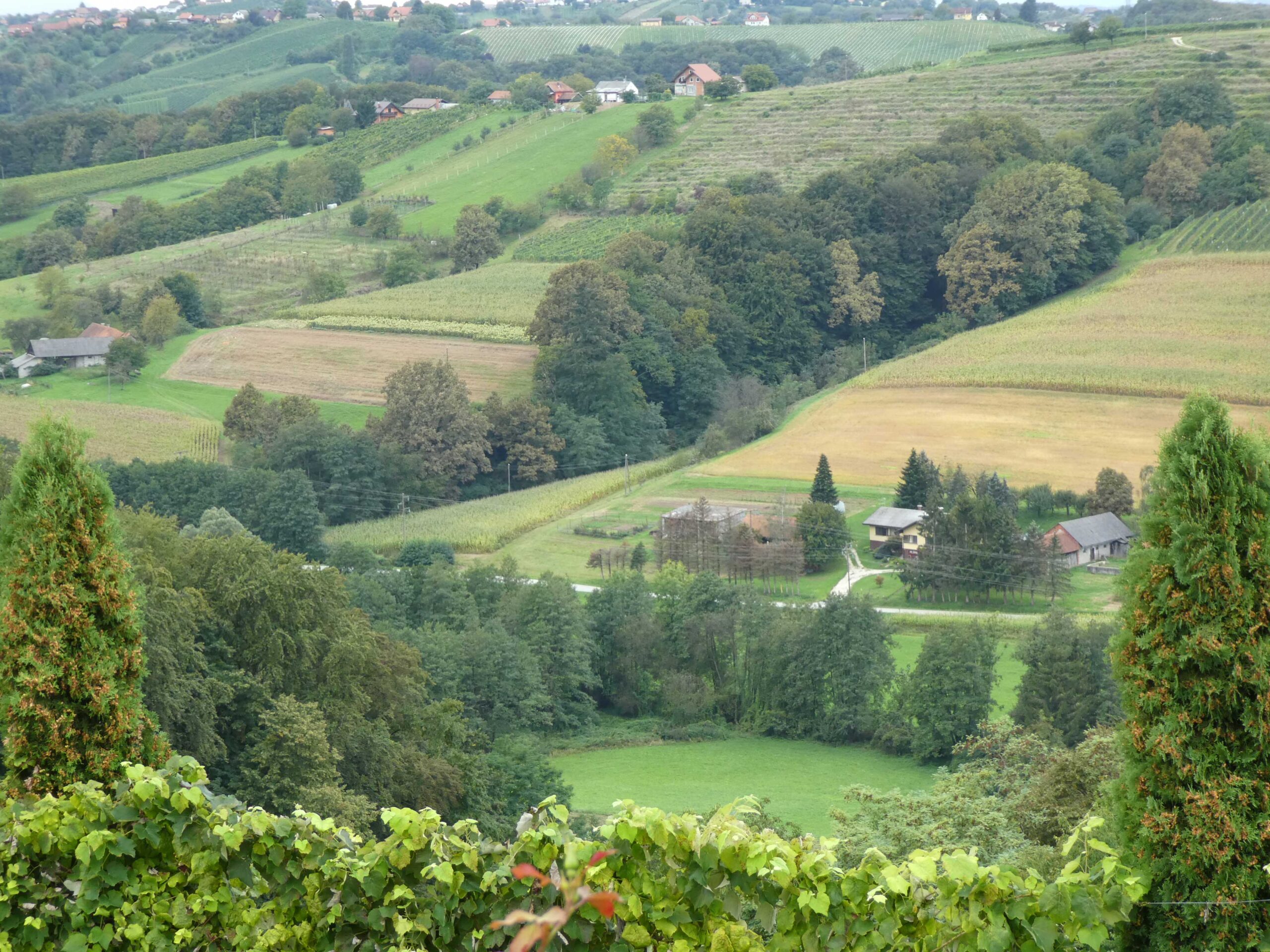 Scenery along the wine route near Jerusalem, Slovenia