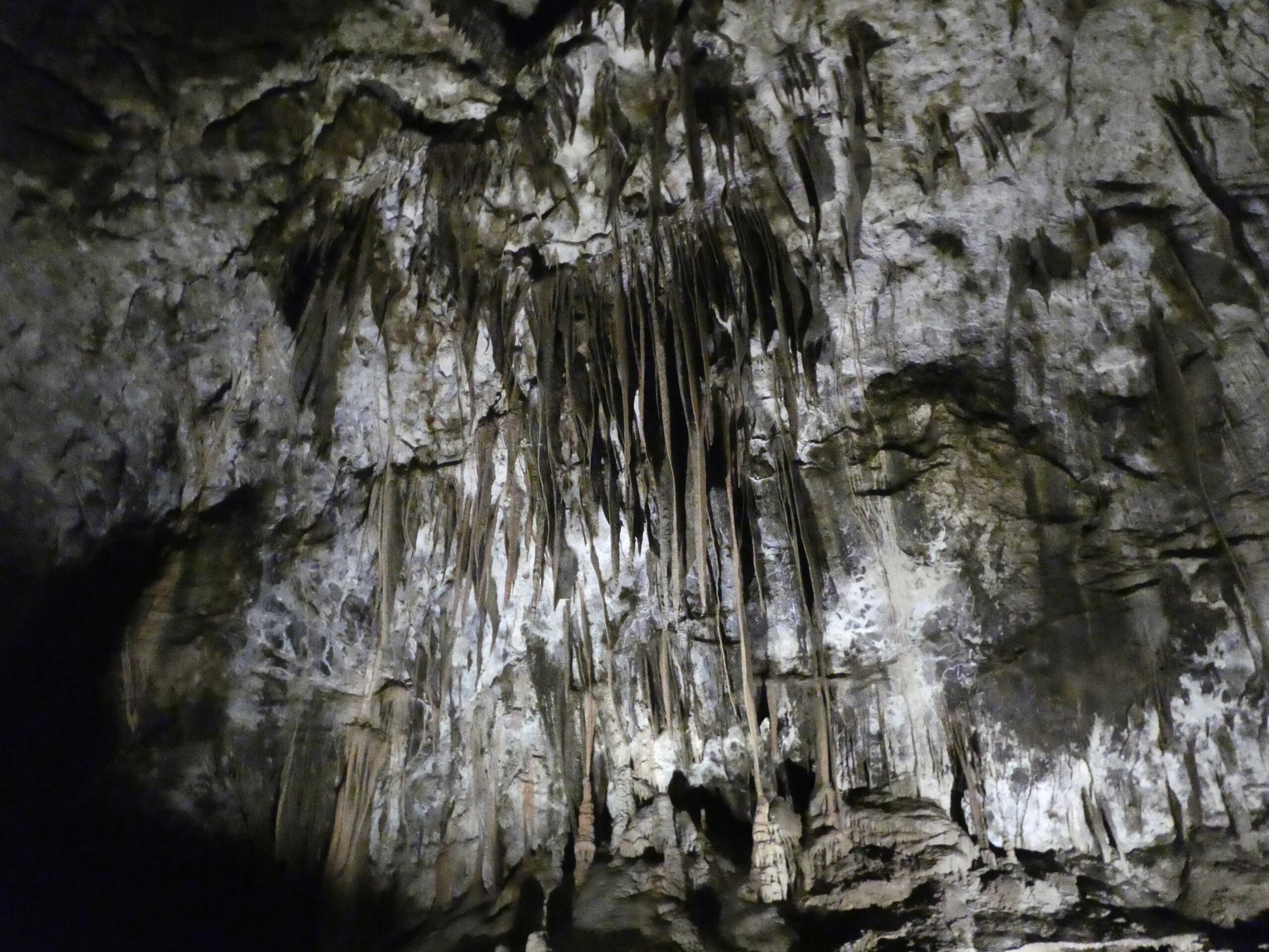 Limestone formations inside Postojna cave