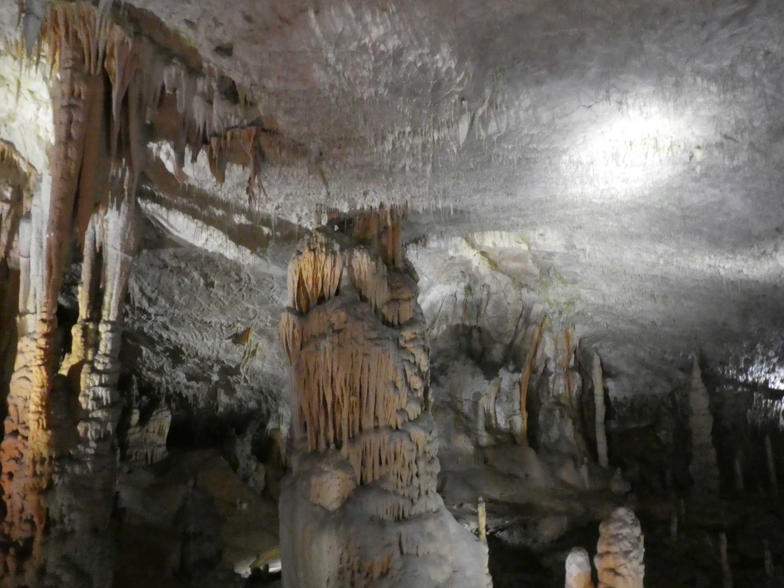 Limestone formations inside Postojna cave