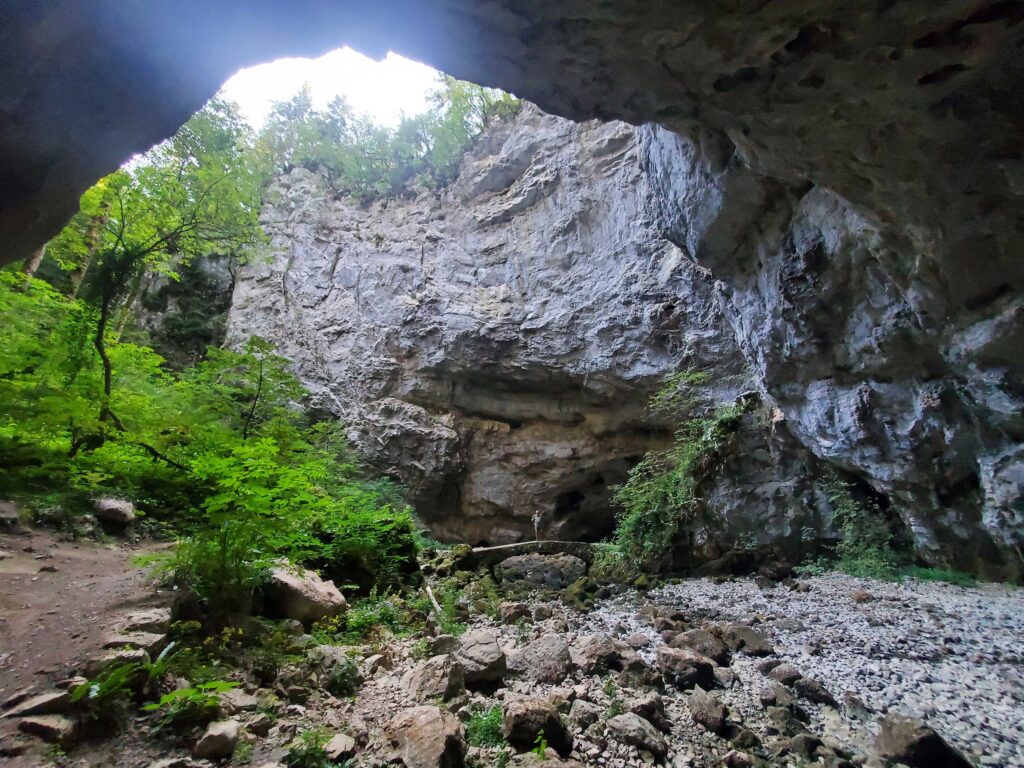 Sunlight shining through the collapsed dome of a once massive karst cave system now collapsed