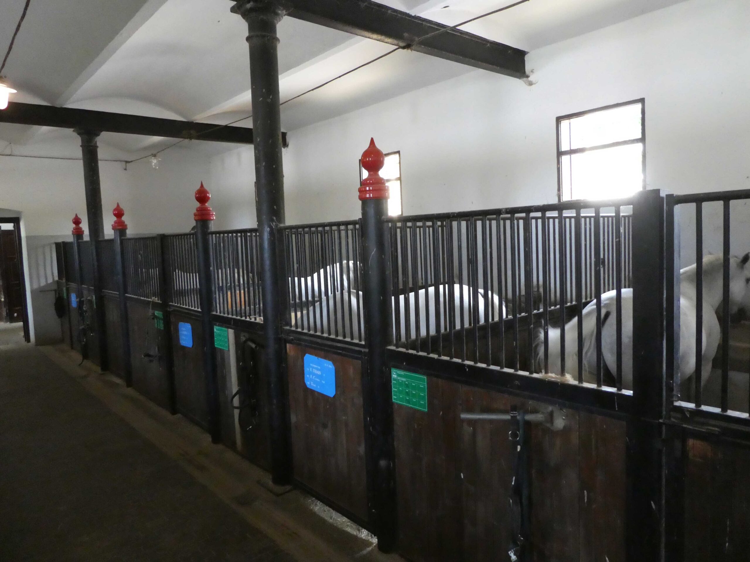 Stable for the Lipizzaner Studs