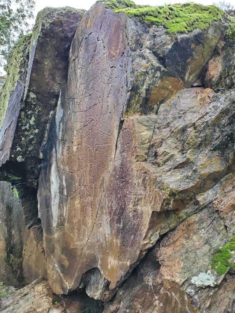 Prehistoric rock carvings near Vila Nova de Foz Côa, Portugal