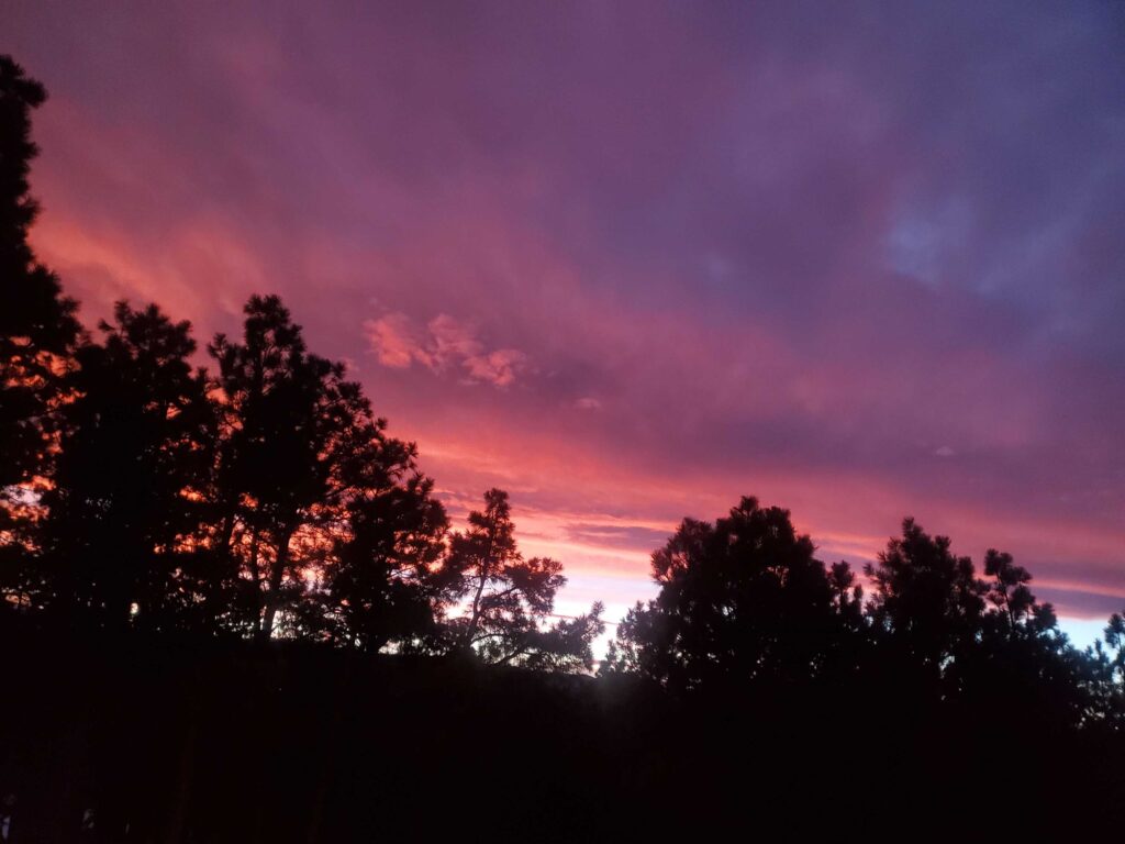 Sunset in mid-December in the Black Forest near Colorado Springs, Colorado