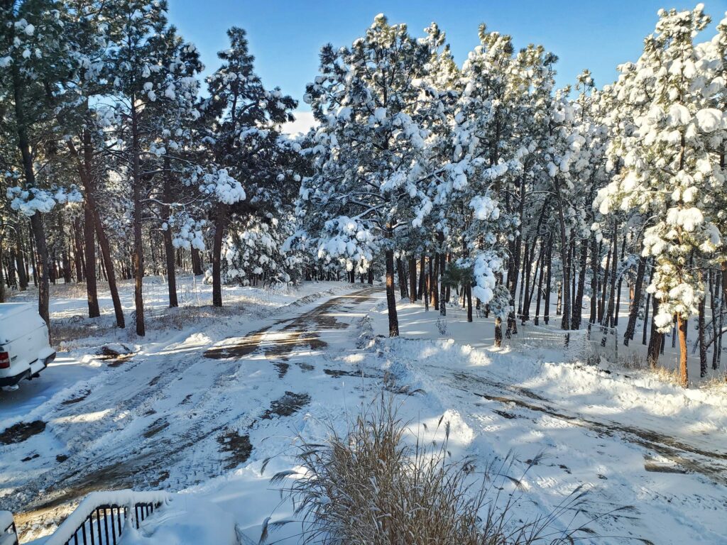 Snow in the front yard of the Cummins house in the Black Forest, Colorado Springs, Colorado